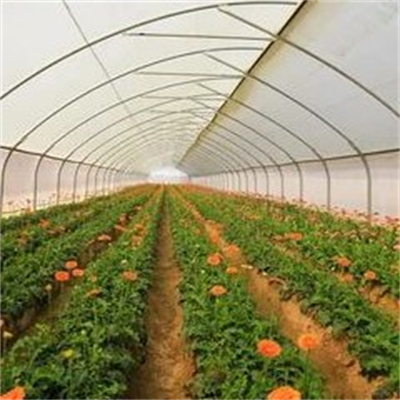 GTOFRP&trade; Теплица из стеклопластика