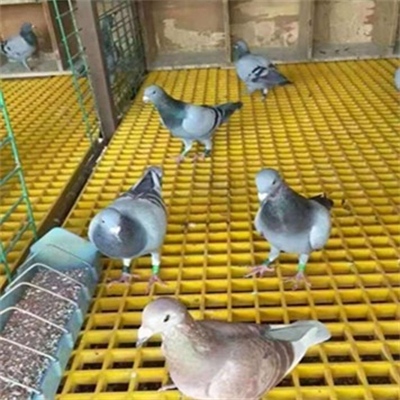 GTOFRP&trade; Решетчатый пол из стеклопластика